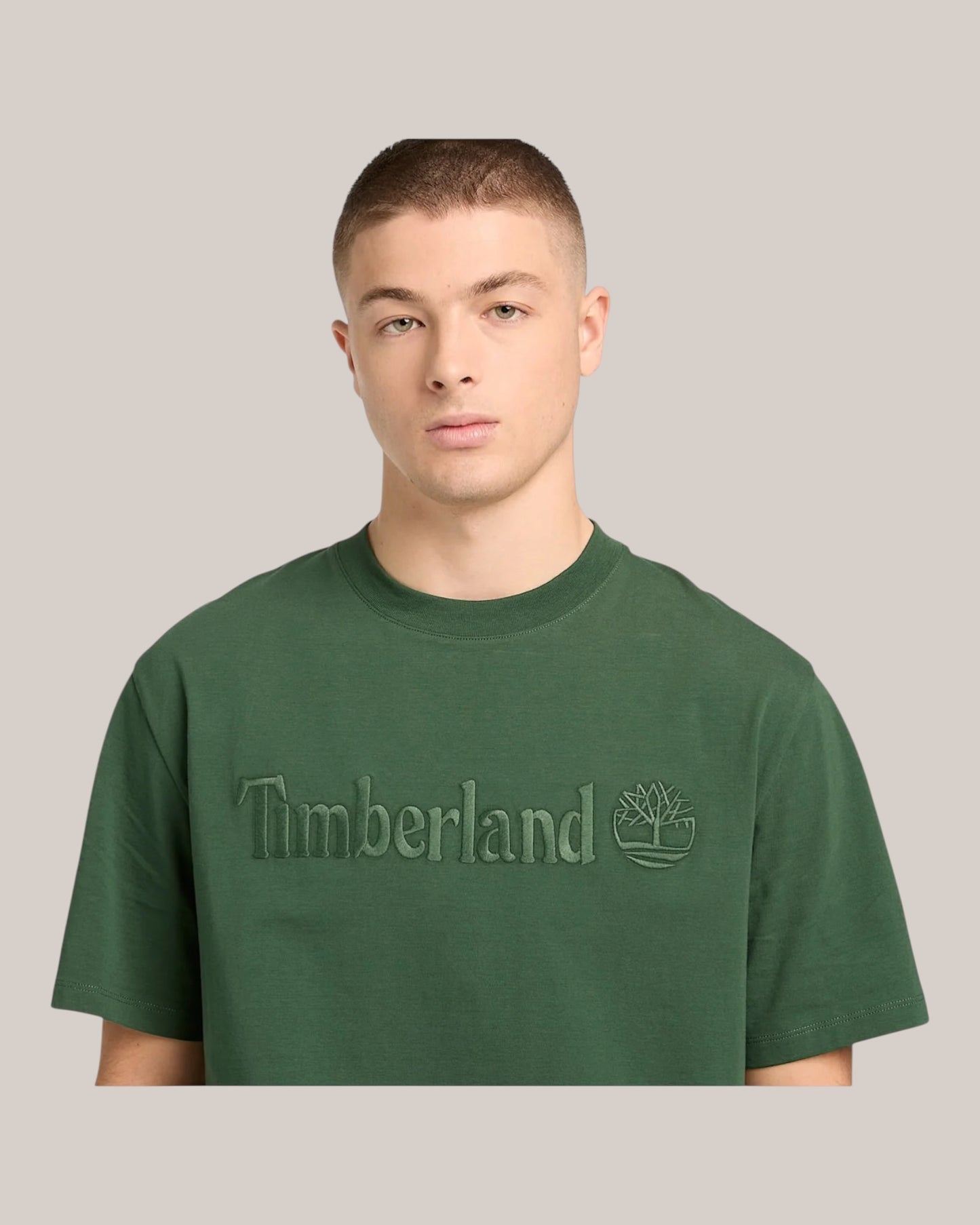 T-Shirt Authentic Fit Hampton Tee Verde TB0A6VPE A6X Timberland